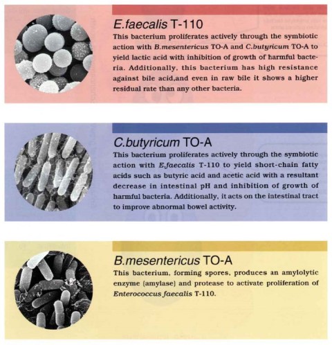 BIO-THREE