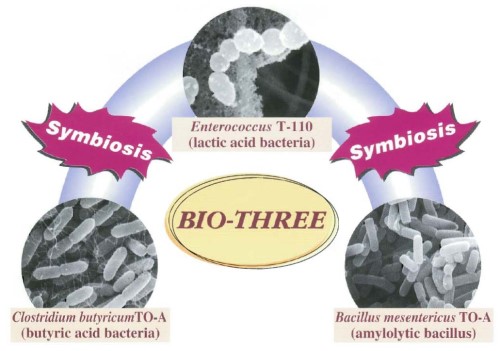 BIO-THREE