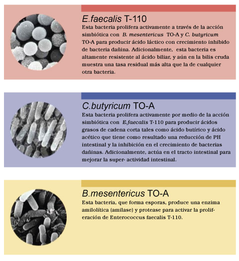 BIO-THREE