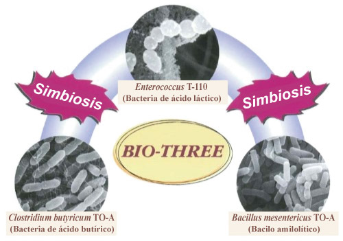 BIO-THREE